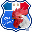 Stickers / autocollant Allez les bleus !