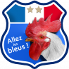 Stickers / autocollant Allez les bleus !