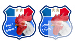 Stickers / autocollant Allez les bleus !