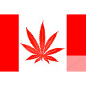 Drapeau canada canabis