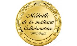 Stickers / autocollant Médaille du meilleur collaborateur