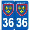 immatriculation Berry 36 (l'Indre)