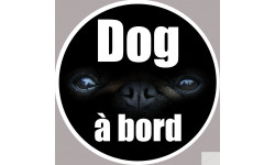 dog à bord