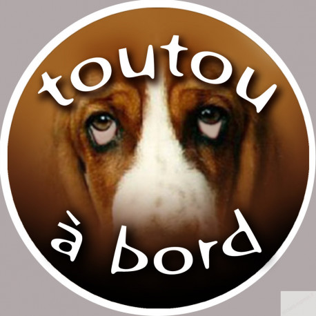 Toutou à bord