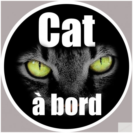 Cat à bord