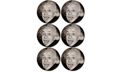 Albert Einstein - 6 stickers de 9 cm