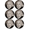 Albert Einstein - 6 stickers de 9 cm