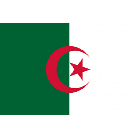 Drapeau Algérie (19.5x13cm)