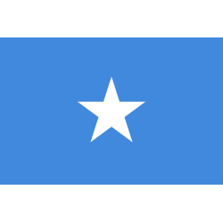 Drapeau Somalie (19.5 x 13 cm) - Sticker/autocollant