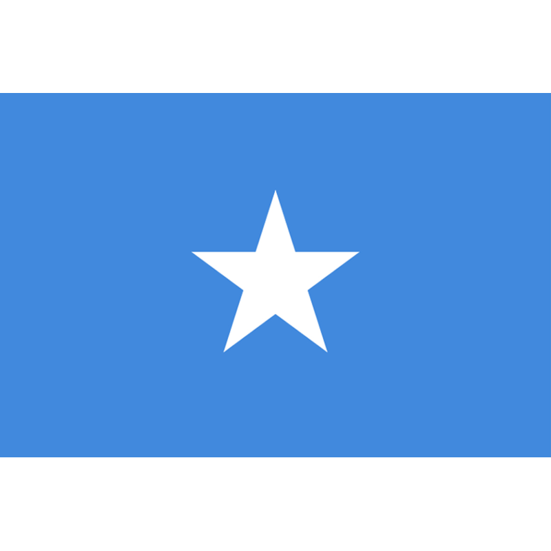 Drapeau Somalie (19.5 x 13 cm) - Sticker/autocollant