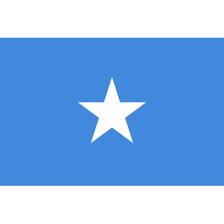 Drapeau Somalie (19.5 x 13 cm) - Sticker/autocollant