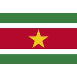 Drapeau Suriname (19.5 x 13 cm) - Sticker/autocollant