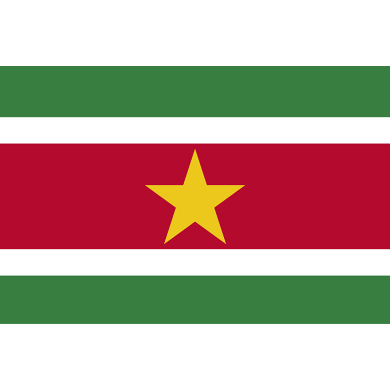 Drapeau Suriname (19.5 x 13 cm) - Sticker/autocollant