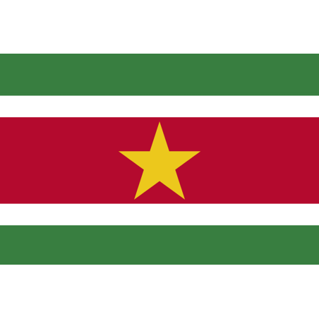 Drapeau Suriname (19.5 x 13 cm) - Sticker/autocollant