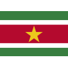 Drapeau Suriname (19.5 x 13 cm) - Sticker/autocollant