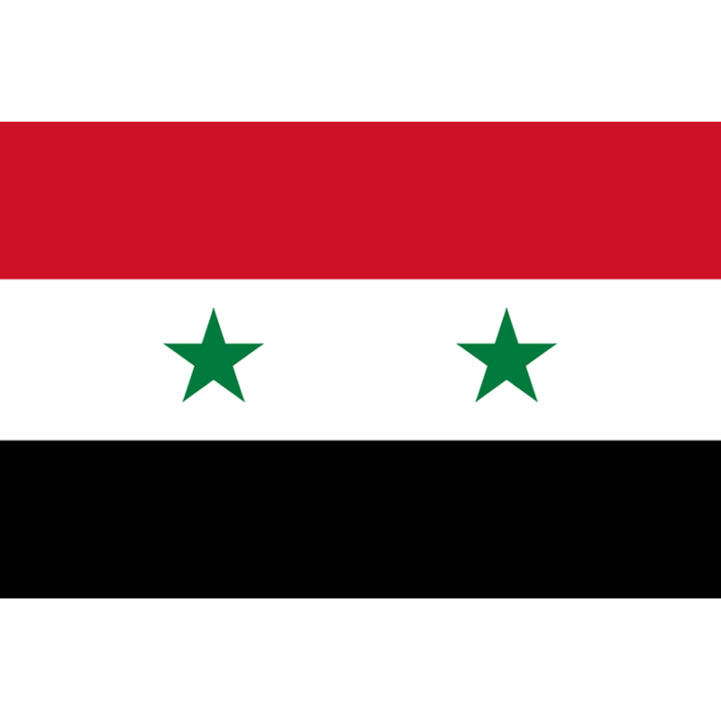 Drapeau Syrie (19.5 x 13 cm) - Sticker/autocollant