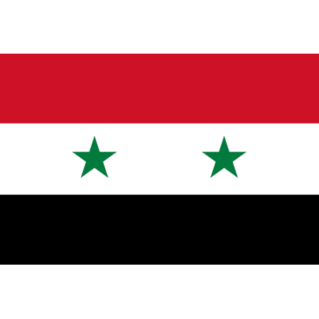 Drapeau Syrie (19.5 x 13 cm) - Sticker/autocollant