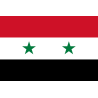 Drapeau Syrie (19.5 x 13 cm) - Sticker/autocollant