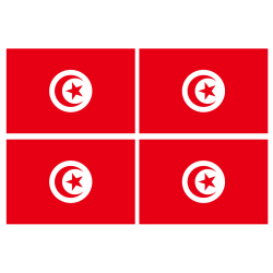 Drapeau Tunisie (4 stickers - 9.5 x 6.3 cm) - Sticker/autocollant