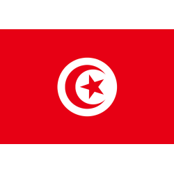 Drapeau Tunisie (19.5 x 13 cm) - Sticker/autocollant