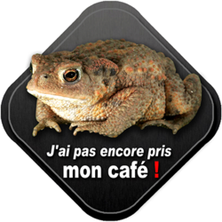 Mon café (15x15cm) - Sticker/autocollant