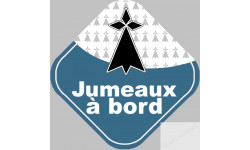 jumeaux breton hermine