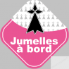 jumelles bretonne hermine