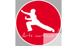 Arts martiaux 3