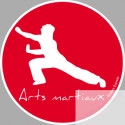 Arts martiaux 3