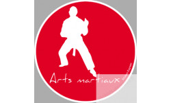 Arts martiaux 