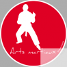 Arts martiaux 