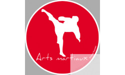 Arts martiaux