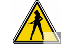 silhouette pin-up 3 (20x18.2cm) - Sticker/autocollant