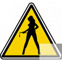 silhouette pin-up 3 (20x18.2cm) - Sticker/autocollant