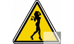 silhouette pin-up 4 (20x18.2cm) - Sticker/autocollant