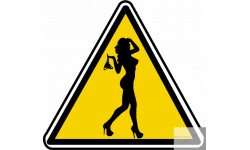 silhouette pin-up 4 (20x18.2cm) - Sticker/autocollant