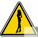 silhouette pin-up 7 (20x18.2cm) - Sticker/autocollant