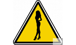 silhouette pin-up 7 (20x18.2cm) - Sticker/autocollant