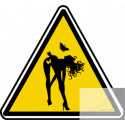 silhouette pin-up 10 (20x18.2cm) - Sticker/autocollant