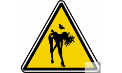 silhouette pin-up 10 (20x18.2cm) - Sticker/autocollant