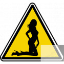 silhouette pin-up 12 (20x18.2cm) - Sticker/autocollant