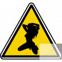 silhouette pin-up 17 (20x18.2cm) - Sticker/autocollant