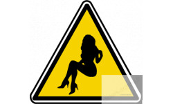 silhouette pin-up 22 (20x18.2cm) - Sticker/autocollant