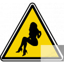 silhouette pin-up 22 (20x18.2cm) - Sticker/autocollant