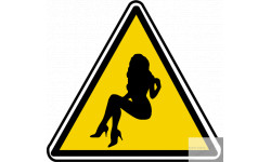 silhouette pin-up 22 (20x18.2cm) - Sticker/autocollant