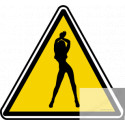 silhouette pin-up 23 (20x18.2cm) - Sticker/autocollant