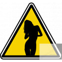 silhouette pin-up 26 (20x18.2cm) - Sticker/autocollant