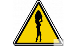 silhouette pin-up 31 (20x18.2cm) - Sticker/autocollant