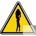 silhouette pin-up 31 (20x18.2cm) - Sticker/autocollant