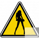 silhouette pin-up 35 (5x4.5cm) - Sticker/autocollant